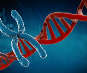 Small_DNA_image